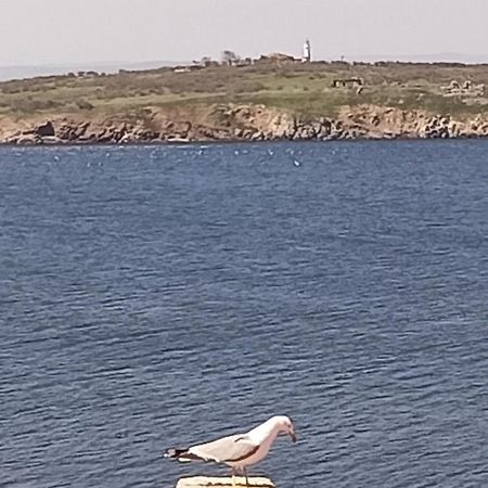 Damaris Hotel Sozopol Bagian luar foto