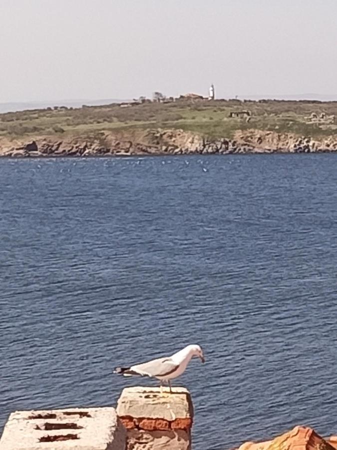 Damaris Hotel Sozopol Bagian luar foto