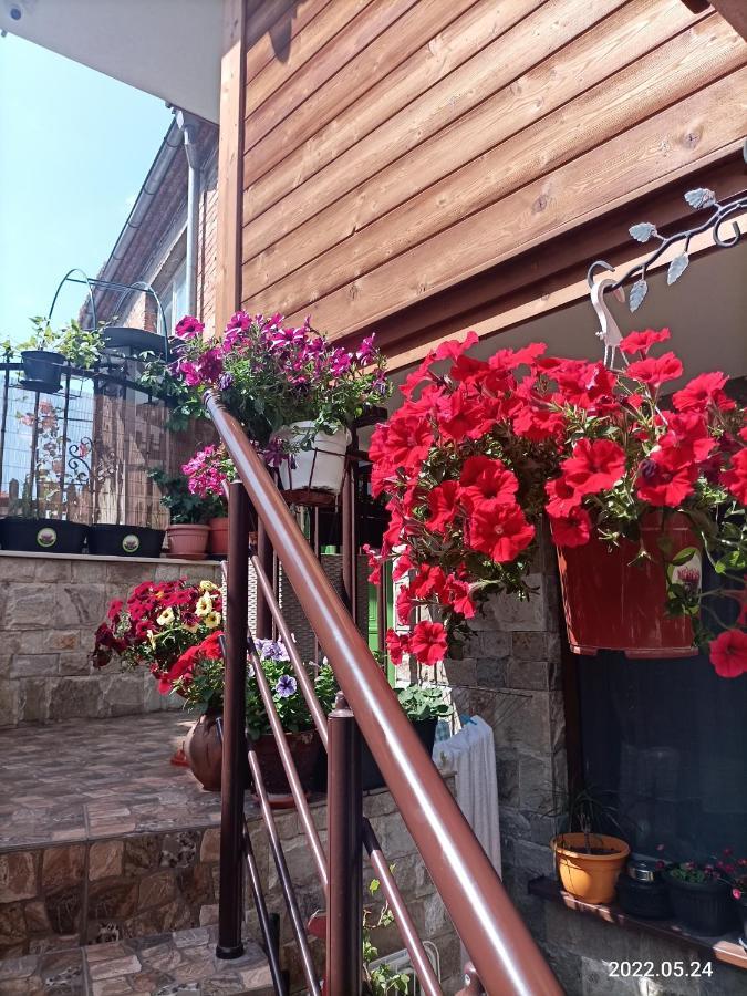Damaris Hotel Sozopol Bagian luar foto