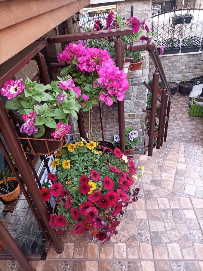 Damaris Hotel Sozopol Bagian luar foto